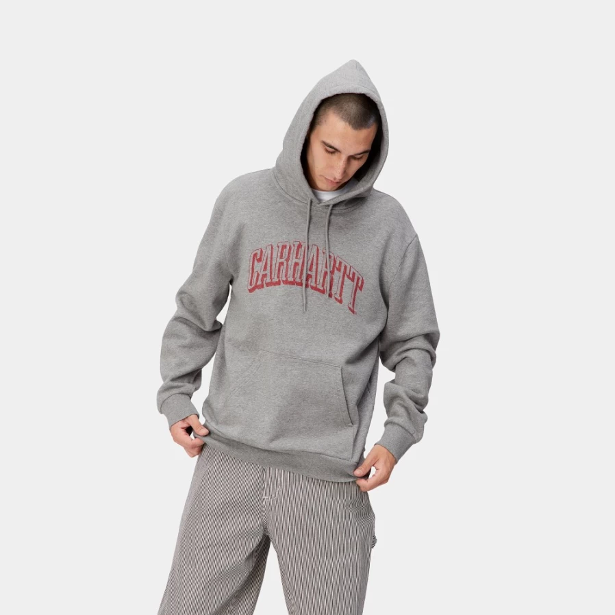 Carhartt WIP Men's Hooded Scrawl Sweatshirt - Grey Heather / Rocket Pullover