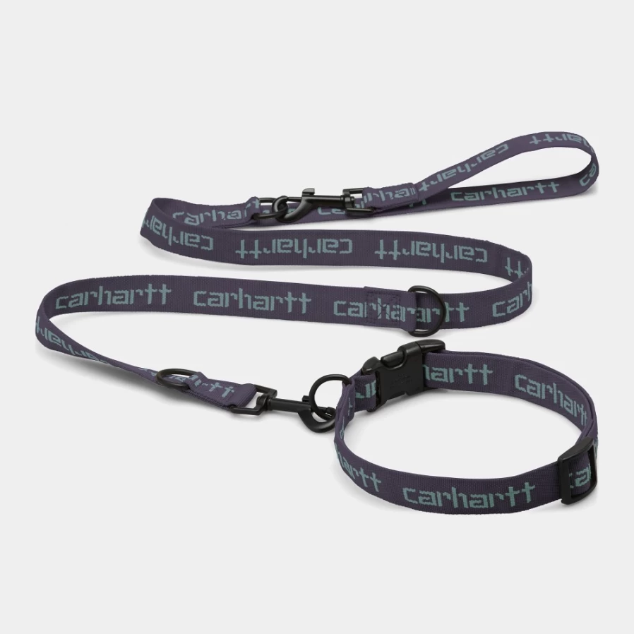 Carhartt WIP Script Dog Leash & Collar Set in Artichoke & Misty Sage Colors