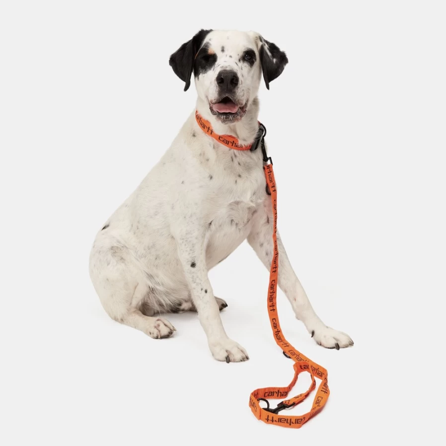 Carhartt WIP Script Dog Leash & Collar Set - Orange & Black Adjustable Pet Accessories